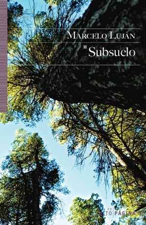 Subsuelo (novela)
